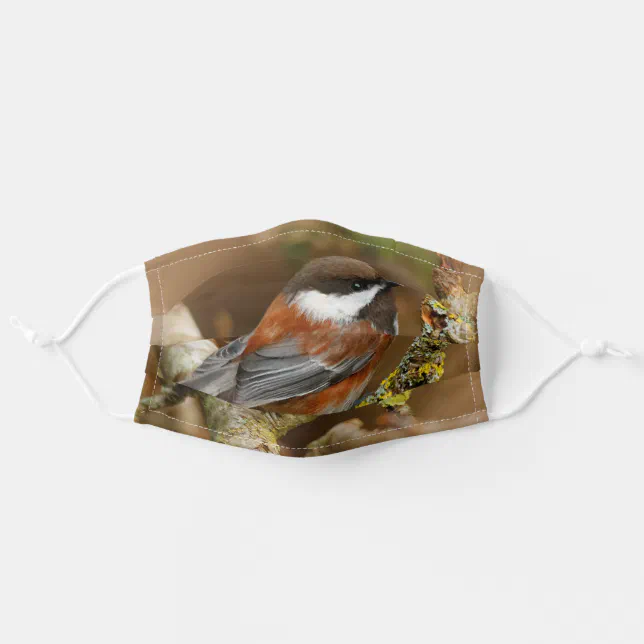 Cute Chestnut-Backed Chickadee Songbird in Tree Adult Cloth Face Mask