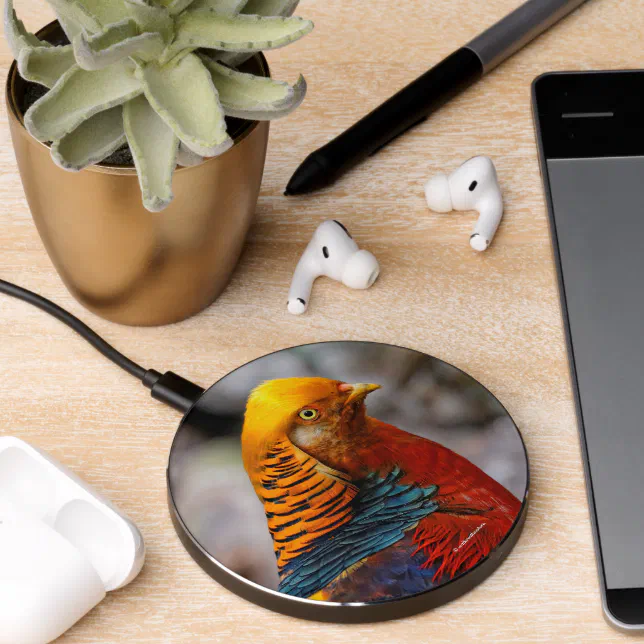 Stunning Profile of a Red Golden Pheasant Gamebird Wireless Charger