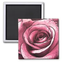 Pink Rose Magnet