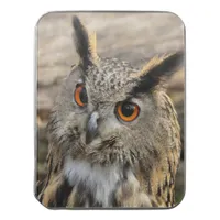 Cute eagle owl jigsaw puzzle