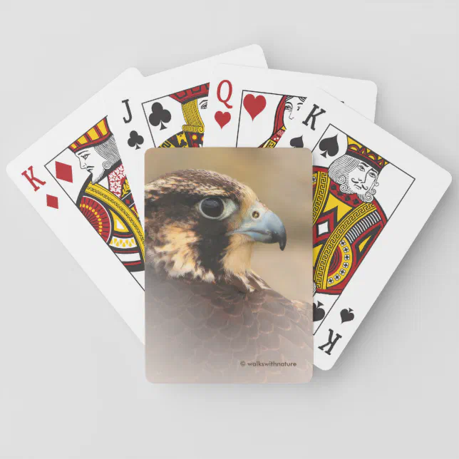 Stunning Vignetted Profile of a Peregrine Falcon Poker Cards