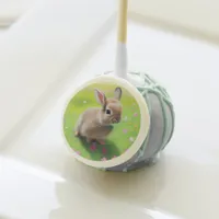 Cute baby rabbit in a flower meadow    cake pops