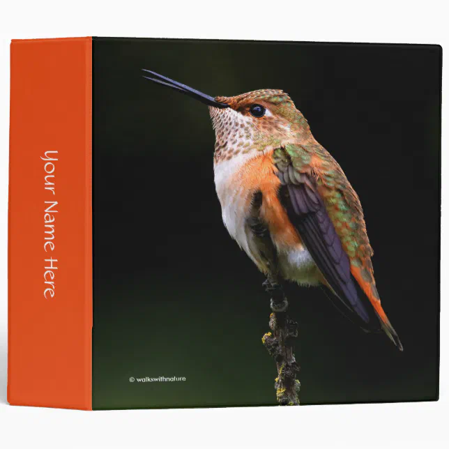 Adorable Rufous Hummingbird on Branch 3 Ring Binder