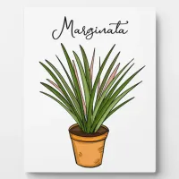 Hand drawn Marginata Plaque