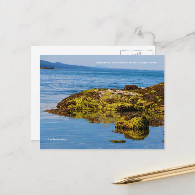 Pebble Beach, Galiano Island, British Columbia Postcard