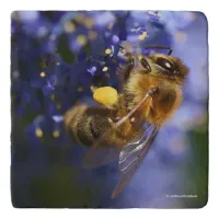 Beautiful Honeybee on the California Lilac Trivet