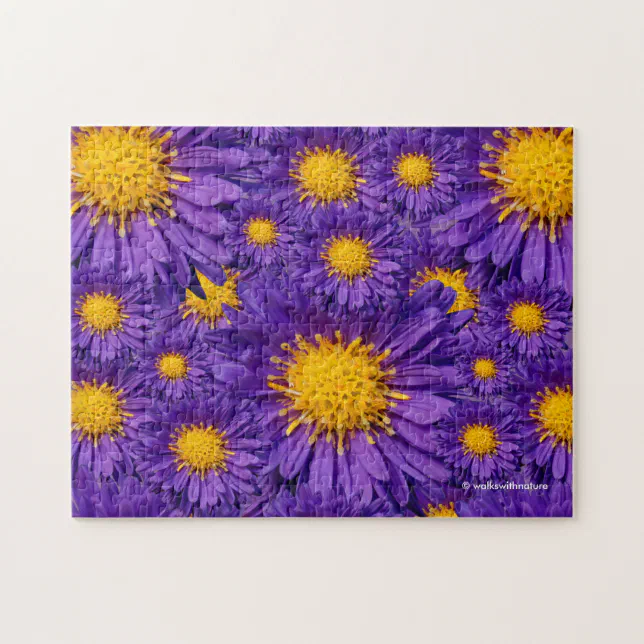 Beautiful Purple Michaelmas Daisies Jigsaw Puzzle