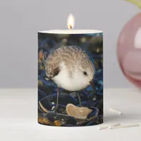 Cute Sanderling Dines on Clam at Beach Pillar Candle