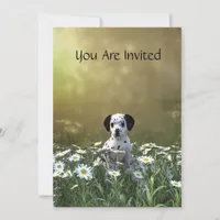 Invitations