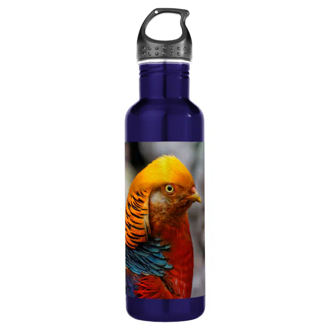 Profile of a Red Golden Pheasant Stainless Steel Water Bottle