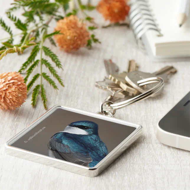 Handsome Tree Swallow Songbird on a Wire Keychain