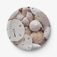 Sand Dollars Paper Plates