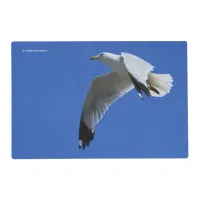 Breathtaking Ring-Billed Gull in Flight Placemat
