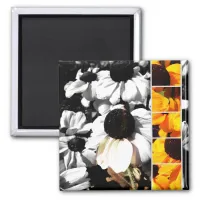 Monochrome and Yellow Black-eyed Susans Magnet