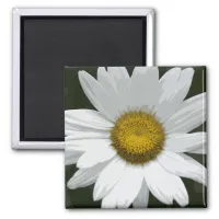 Single White Daisy Magnet