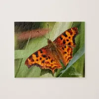 Beautiful Orange Satyr Comma Butterfly Jigsaw Puzzle