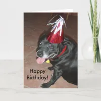 Happy Birthday Black Dog with Red Hat Card
