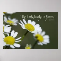 Wild White Daisies Poster