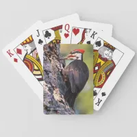 Beautiful Pileated Woodpecker on the Tree Playing Cards