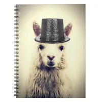 Alpaca in a Tophat Notebook