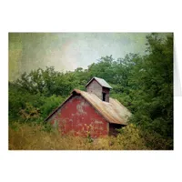 Abandoned and Overgrown Barn All Occasions