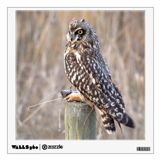 Portrait of a Short-Eared Owl in the Woods Wall Sticker