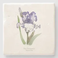 Purple Ruffled Iris Stone Coaster