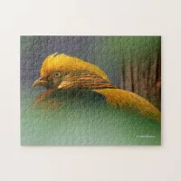 Emerging From the Green: Golden Pheasant Jigsaw Puzzle