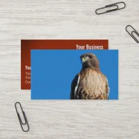 Magnificent Red-Tailed Hawk in the Sun Business Card