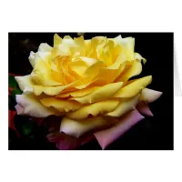 Yellow Rose Flower Card