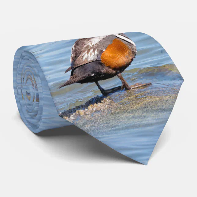 Beautiful Harlequin Duck on the Rock Tie