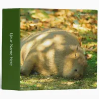A Cute Capybara Dreams in the Summer Sun 3 Ring Binder