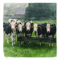 Smile please! Cute cows Bandana