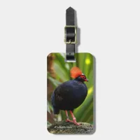 Profile of a Roul-Roul Crested Wood Partridge Luggage Tag