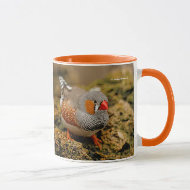 Colorful Zebra Finch Songbird on the Rocks Mug