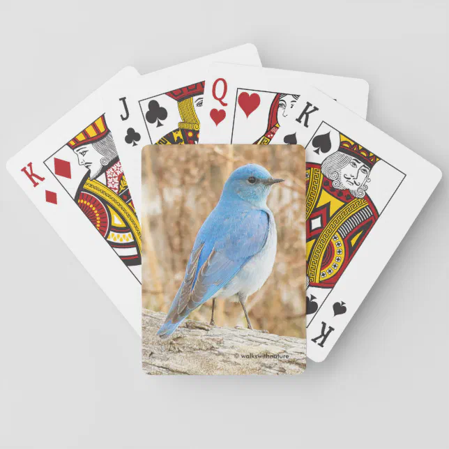 Beautiful Mountain Bluebird at the Beach Poker Cards