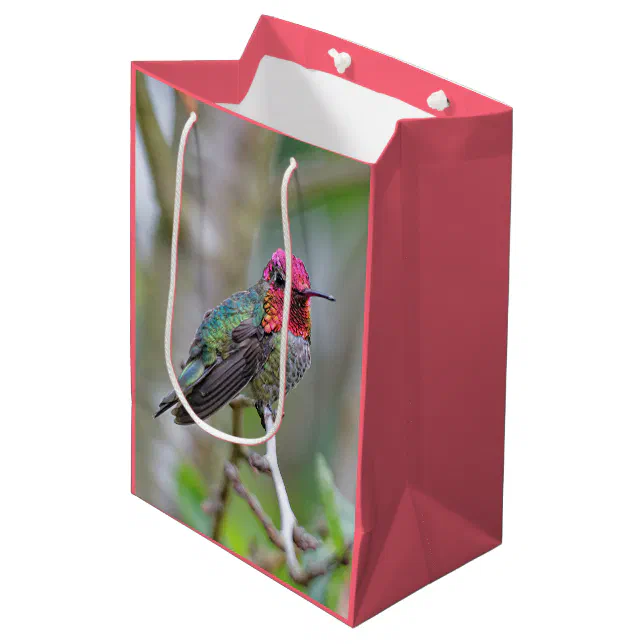Stunning Male Anna's Hummingbird in Plum Tree Medium Gift Bag