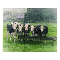 Smile please! Cute cows Jigsaw Puzzle