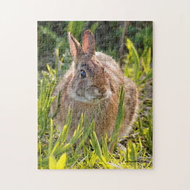 Easter Cottontail Rabbit in the Grass Jigsaw Puzzle