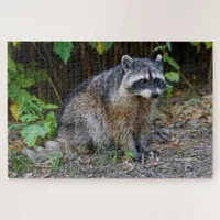 Cute Posing North American Raccoon Jigsaw Puzzle