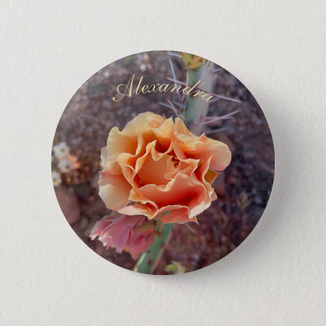 Pretty Peach Prickly Pear Flower Button