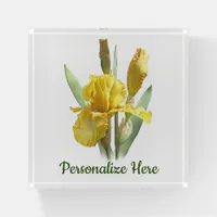 Yellow Iris Flower Paperweight