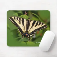 Beautiful Western Tiger Swallowtail Butterfly Mouse Pad