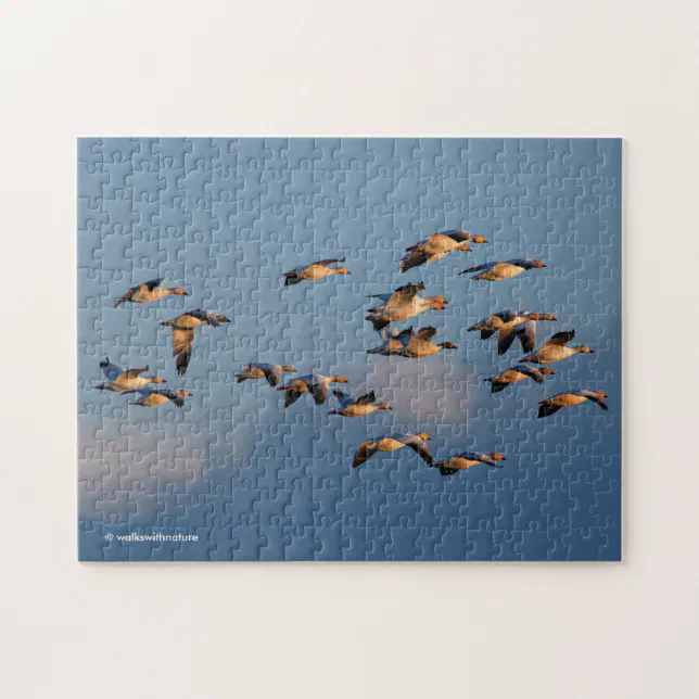 Snow Geese in Sunset Flight Jigsaw Puzzle