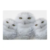 Dreamy Wisdom of Snowy Owls Placemat