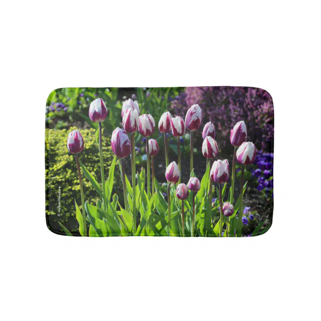 Elegant White Purple Flaming Flag Triumph Tulips Bathroom Mat