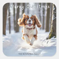 Cavalier King Charles Spaniel Snow Merry Christmas Square Sticker