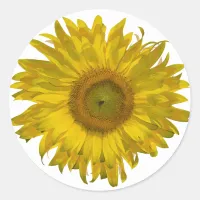 Yellow Sunflower  Classic Round Sticker