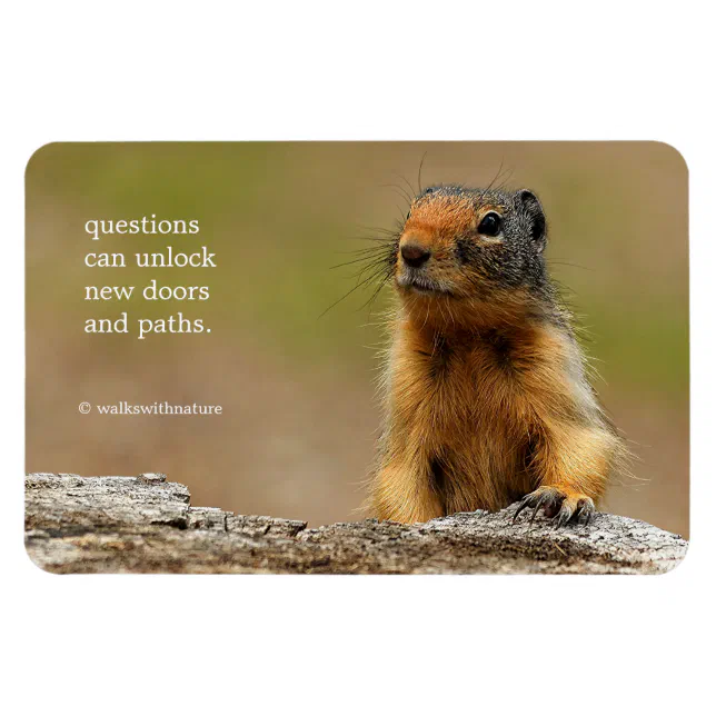 Funny Cute Saucy Columbian Ground Squirrel Magnet