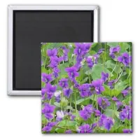 Wisconsin Wood Violets - Customized Magnet